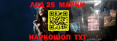 apvp Новодвинск
