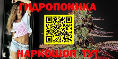 метамфетамин Новозыбков