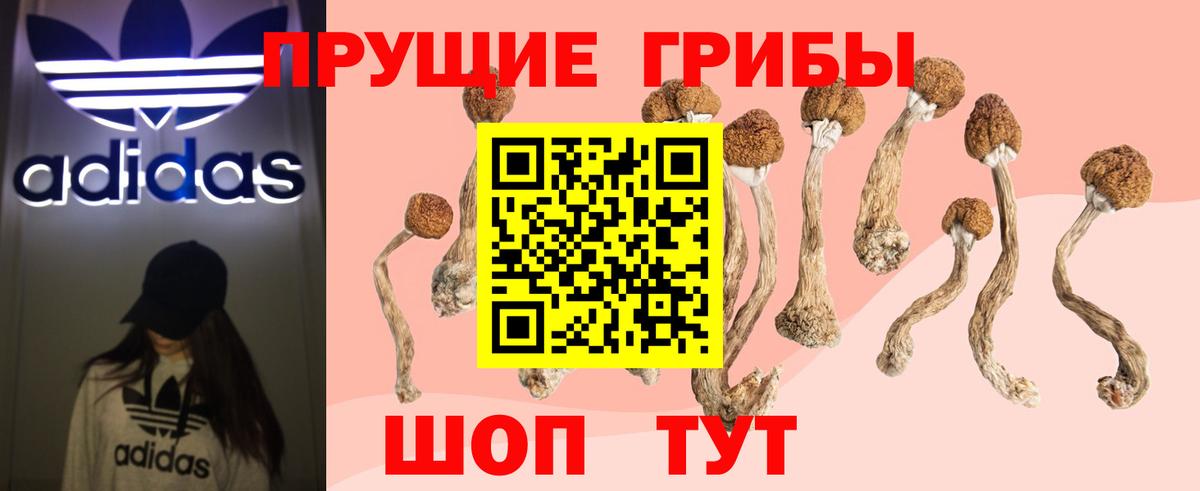 Галлюциногенные грибы Magic Shrooms Шарыпово